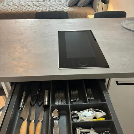 Apartman Bellevue Fn, Mit See- Und Bergsicht Friedrichshafen